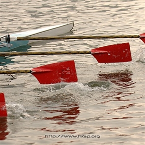 Photo By Kwok Yun Fai